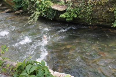 Za krásami Francie a Anglie, Cotswold, červen 2016 (foto Mojmír Zetek)