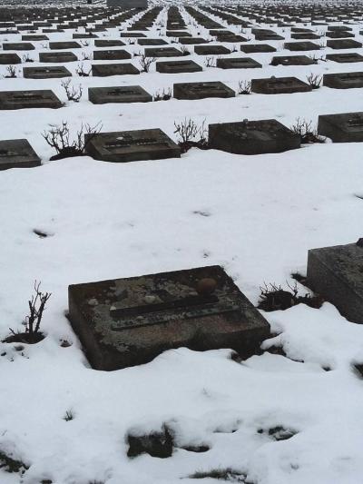 26. Náhrobky na Národním hřbitově Foto T. Holubová