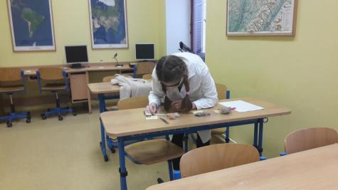 Školní kolo Biologické olympiády kategorie C, 51. ročník, učebna zeměpisu GFPVM - laboratorní úkol, 6. 2. 2017 (foto: Barbora Šimíčková)
