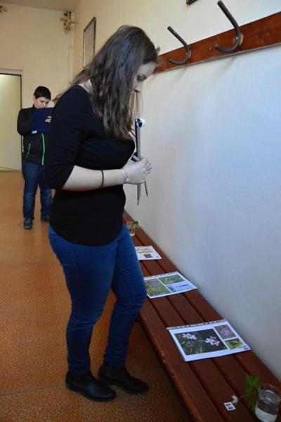 Okresní kolo 51. ročníku Biologické olympiády kategorie D, GFPVM, 10. 4. 2017 (foto Monika Hlosková) (20)
