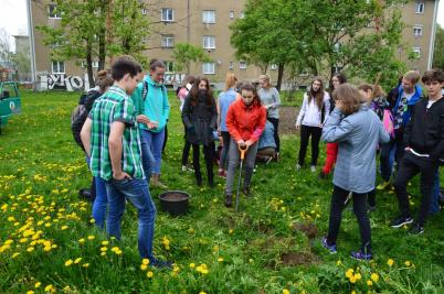 Sázení třídních stromů, ulice Nádražní, 5. 5. 2017 (foto Monika Hlosková) (4)