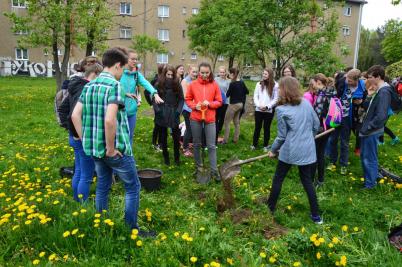 Sázení třídních stromů, ulice Nádražní, 5. 5. 2017 (foto Monika Hlosková) (5)