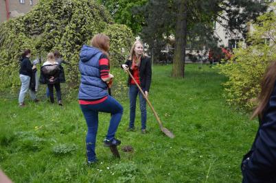 Sázení třídních stromů, ulice Nádražní, 5. 5. 2017 (foto Monika Hlosková) (8)