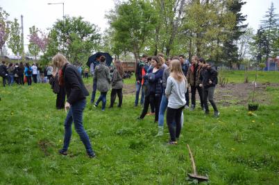 Sázení třídních stromů, ulice Nádražní, 5. 5. 2017 (foto Monika Hlosková) (12)