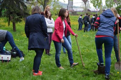 Sázení třídních stromů, ulice Nádražní, 5. 5. 2017 (foto Monika Hlosková) (15)