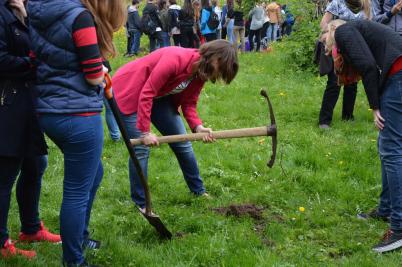 Sázení třídních stromů, ulice Nádražní, 5. 5. 2017 (foto Monika Hlosková) (14)