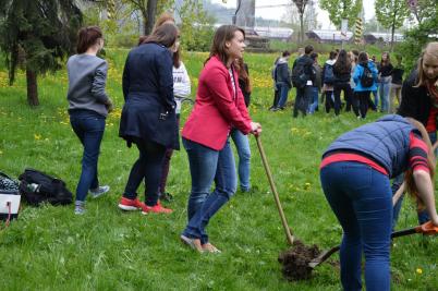 Sázení třídních stromů, ulice Nádražní, 5. 5. 2017 (foto Monika Hlosková) (16)