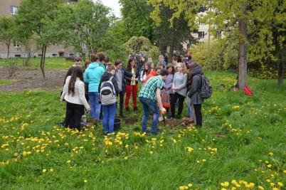 Sázení třídních stromů, ulice Nádražní, 5. 5. 2017 (foto Monika Hlosková) (19)