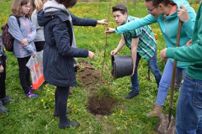 Sázení třídních stromů, ulice Nádražní, 5. 5. 2017 (foto Monika Hlosková) (18)