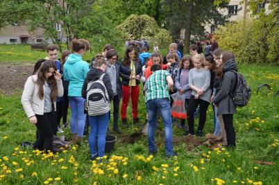 Sázení třídních stromů, ulice Nádražní, 5. 5. 2017 (foto Monika Hlosková) (20)