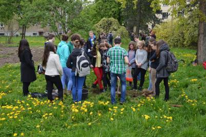 Sázení třídních stromů, ulice Nádražní, 5. 5. 2017 (foto Monika Hlosková) (23)