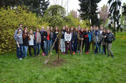 Sázení třídních stromů, ulice Nádražní, 5. 5. 2017 (foto Monika Hlosková) (30)