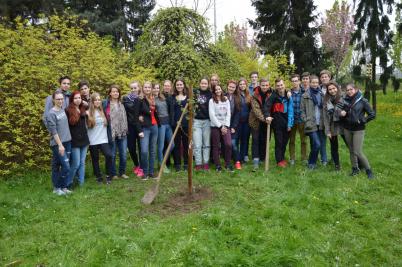 Sázení třídních stromů, ulice Nádražní, 5. 5. 2017 (foto Monika Hlosková) (31)