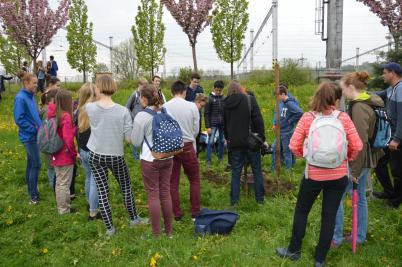 Sázení třídních stromů, ulice Nádražní, 5. 5. 2017 (foto Monika Hlosková) (26)