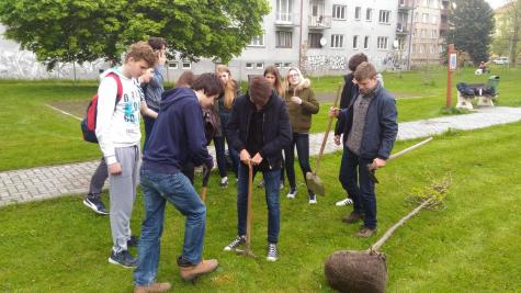 Sázení třídních stromů, nábřeží řeky Bečvy, 5. 5. 2017 (foto Mojmír Zetek) (11)