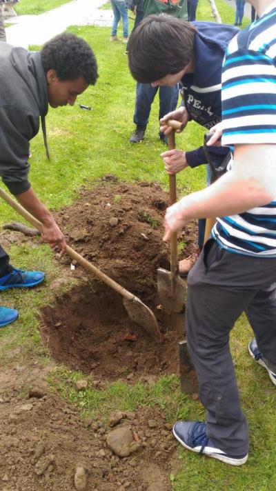 Sázení třídních stromů, nábřeží řeky Bečvy, 5. 5. 2017 (foto Mojmír Zetek) (14)