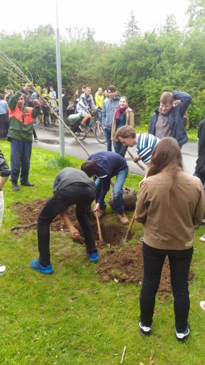 Sázení třídních stromů, nábřeží řeky Bečvy, 5. 5. 2017 (foto Mojmír Zetek) (15)