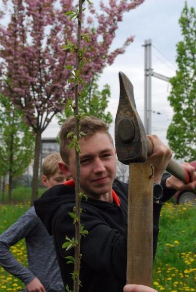 Sázení třídních stromů, ulice Nádražní, 5. 5. 2017 (foto Hynek Bartošek) (7)