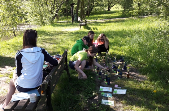 Krajské kolo Zlatého listu, kategorie mladší, Valašské ekocentrum, 19. 5. 2017 (foto Barbora Šimíčková) (2)