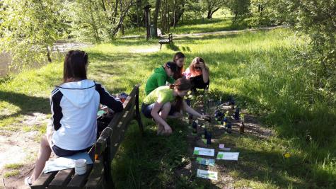 Krajské kolo Zlatého listu, kategorie mladší, Valašské ekocentrum, 19. 5. 2017 (foto Barbora Šimíčková) (2)