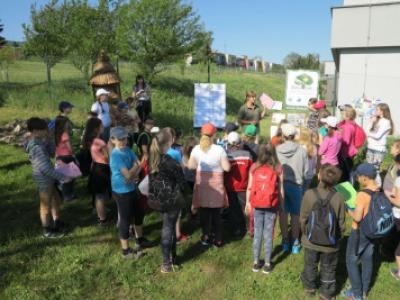 Krajské kolo Zlatého listu, kategorie mladší, Valašské ekocentrum, 19. 5. 2017 (foto Mirek Dvorský) (1)