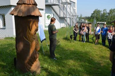 Krajské kolo soutěže Zlatý list, starší kategorie, lesopark u Valašského ekocentra Valašské Meziříčí, 23. 5. 2017 (foto Monika Hlosková) (1)