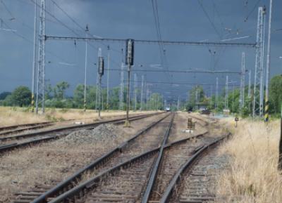 Ekologická exkurze - přírodním korytem Bečvy, 29. 6. 2017 (foto Monika Hlosková) (19)