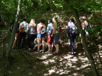 Botanická exkurze 1. A, 9. 6. 2017 (foto Pavel Groh) (7)