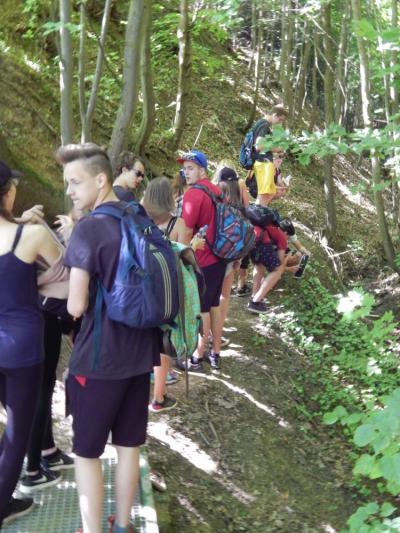 Botanická exkurze 1. A, 9. 6. 2017 (foto Pavel Groh) (11)