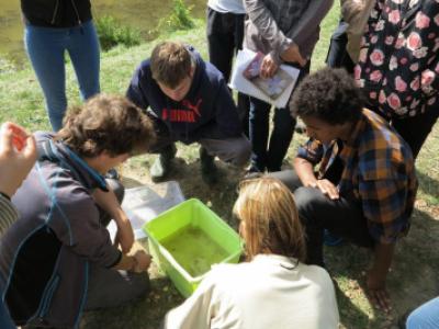 Terénní zoologická exkurze Ekosystém rybníka, rybník u Valašského ekocentra, Valašské Meziříčí, 8. 9. 2017 (foto Mirek Dvorský) (15)