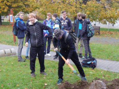 Sázení třídních stromů na Křižné - 1. B, 3. 11. 2017 (foto Pavel Daniš) (13)