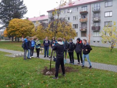 Sázení třídních stromů na Křižné - 1. B, 3. 11. 2017 (foto Pavel Daniš) (15)