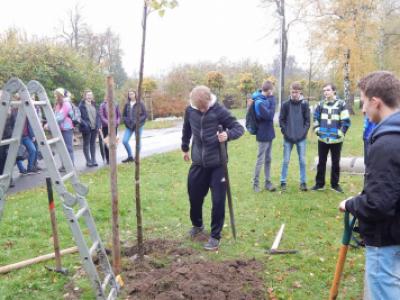 Sázení třídních stromů na Křižné - 1. B, 3. 11. 2017 (foto Pavel Daniš) (19)