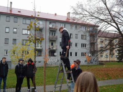 Sázení třídních stromů na Křižné - 1. B, 3. 11. 2017 (foto Pavel Daniš) (20)