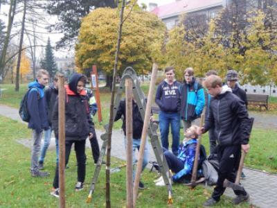 Sázení třídních stromů na Křižné - 1. B, 3. 11. 2017 (foto Pavel Daniš) (25)