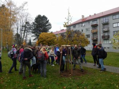 Sázení třídních stromů na Křižné - 1. B, 3. 11. 2017 (foto Pavel Daniš) (35)