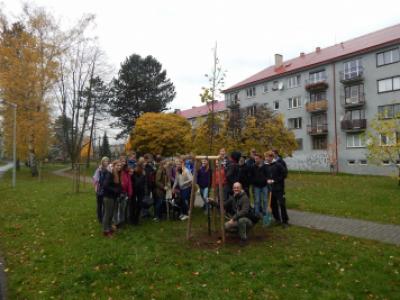 Sázení třídních stromů na Křižné - 1. B, 3. 11. 2017 (foto Pavel Daniš) (36)