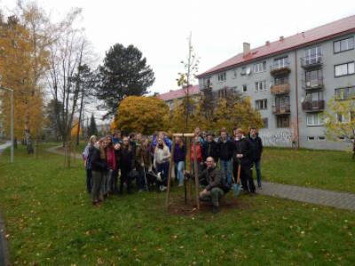 Sázení třídních stromů na Křižné - 1. B, 3. 11. 2017 (foto Pavel Daniš) (37)