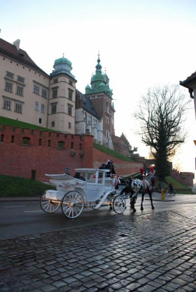 Osvětim a Krakov 2017, 23. 11. 2017 (foto Hynek Bartošek) (67)