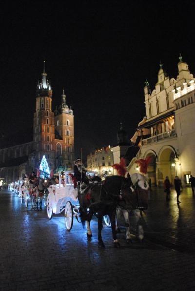 Osvětim a Krakov 2017, 23. 11. 2017 (foto Hynek Bartošek) (72)