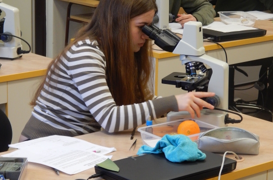 Školní kolo Biologické olympiády kategorie A a B, 15. 2. 2018, GFPVM (foto Pavel Groh) (3)