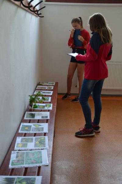 Okresní kolo 52. ročníku Biologické olympiády kategorie C, Poznávání přírodnin, 23. 4. 2018 (foto Monika Hlosková) (3)
