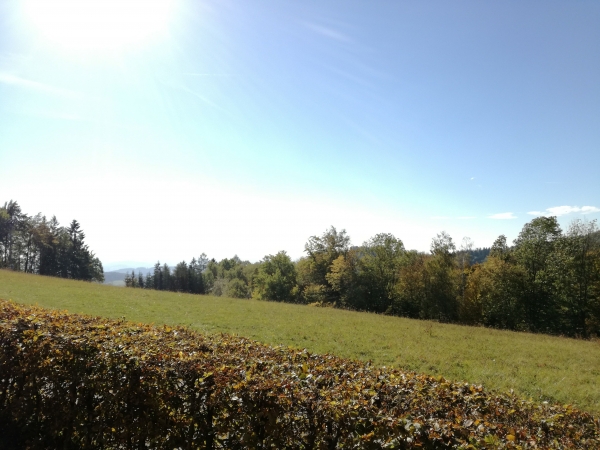 Soustředění pěveckého sboru Basové G v Liptále, 5.–7. 10. 2018. (foto Pavlína Doležalová)