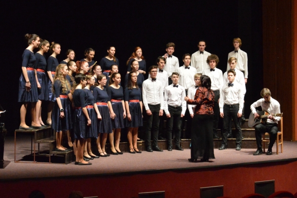 Gymnasia cantant 2019, Orlová, 28. 3. 2019 (foto organizátoři soutěže) (3)