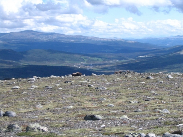 Geografická exkurze Země Vikingů, 14.–23. 6. 2019 (foto Vojtěch Blabla a další účastníci zájezdu) (24)