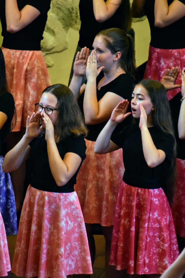 Benefiční koncert „Studenti městu“, kostel Českobratrské církve evagelické ve Valašském Meziříčí, 13. 6. 2019 (foto Pavel Novosád) (8)