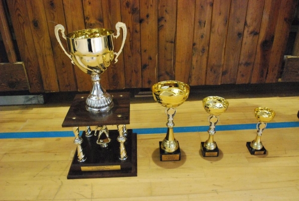 Fotbalové trofeje