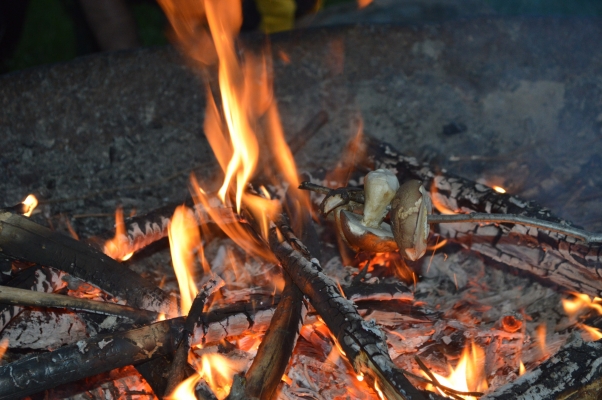 Adaptační kurz 1. E 3-4. 9. 2020, foto Martina Tkadlecová (24)