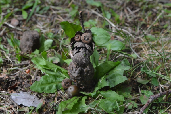 Adaptační kurz 1. E 3-4. 9. 2020, foto Martina Tkadlecová (32)