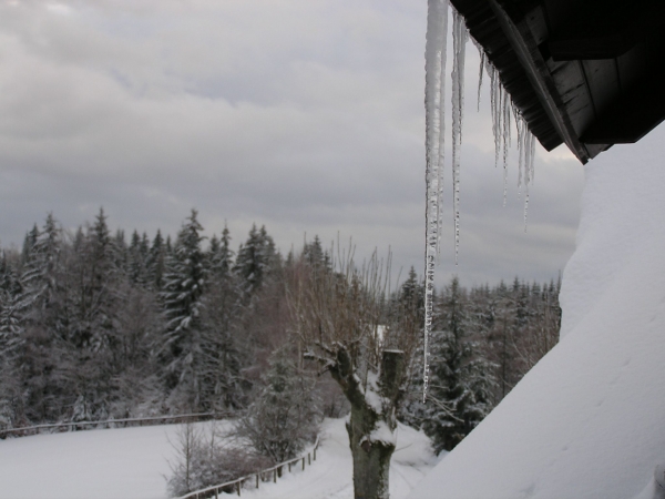 Lyžařský kurz 2016, Soláň-Čarták, 11. 2. 2016 (foto: Monika Hlosková)